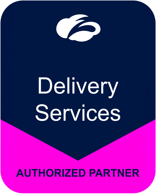 Zscaler delivery services authorized partner